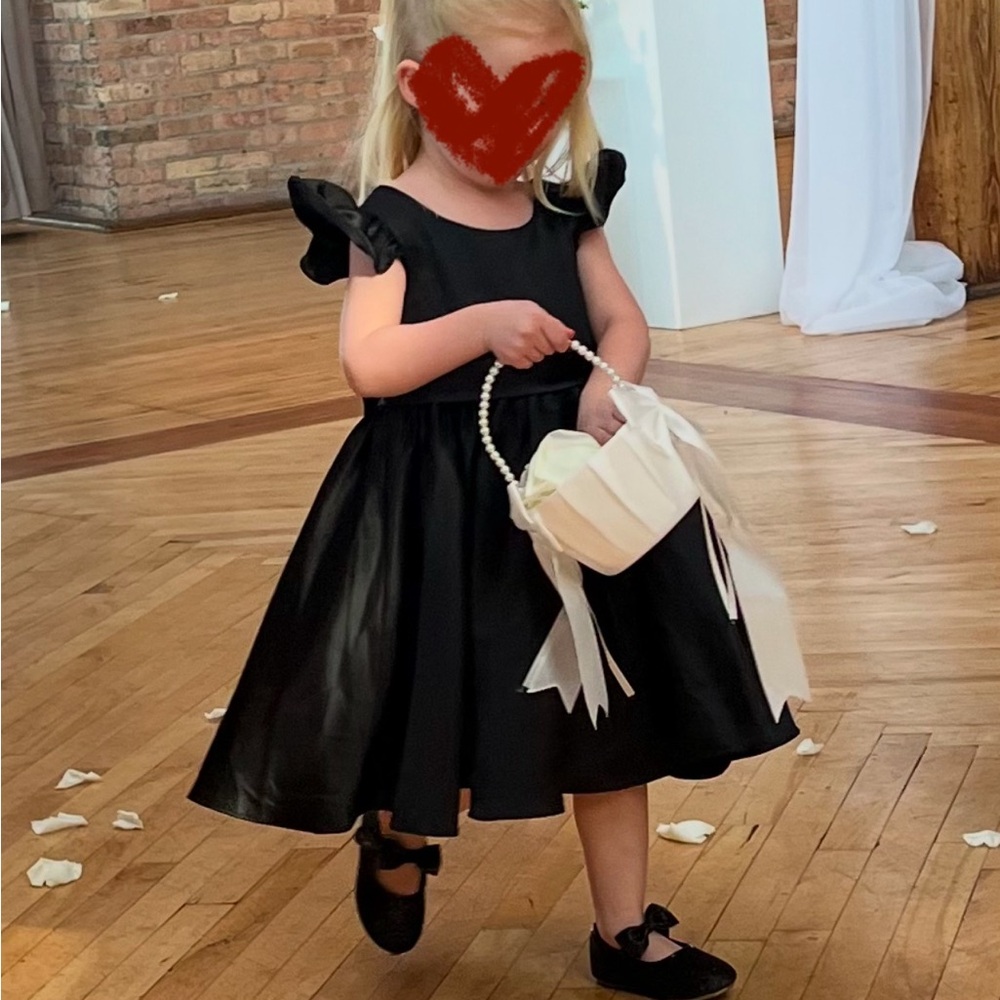 Charming Black Toddler Dress with Ruffle Sleeves